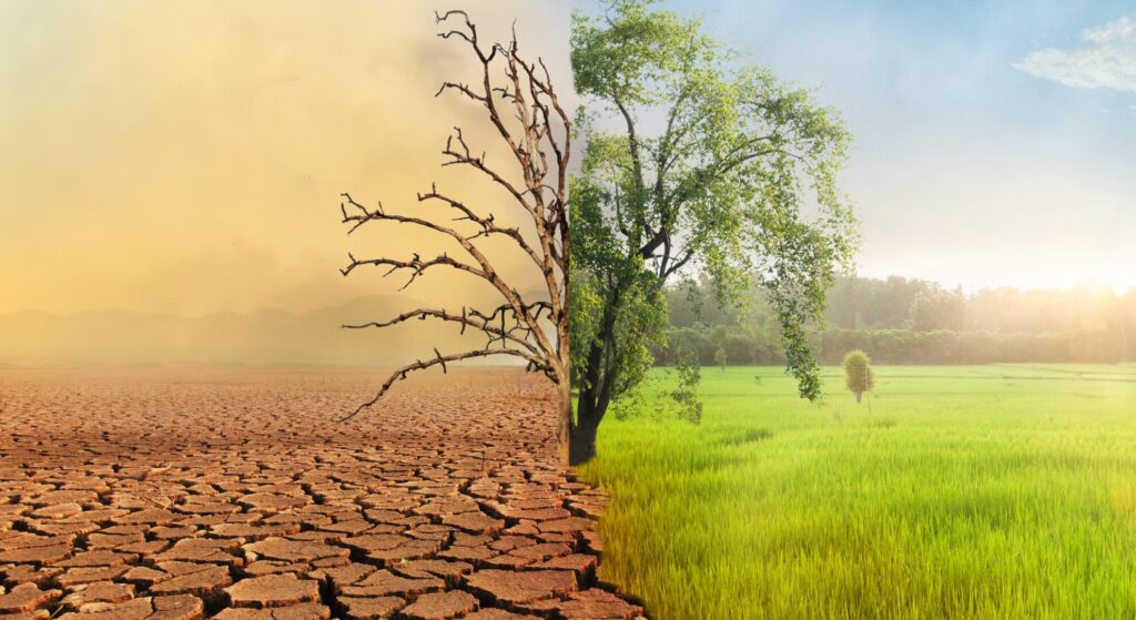 tackling climate change