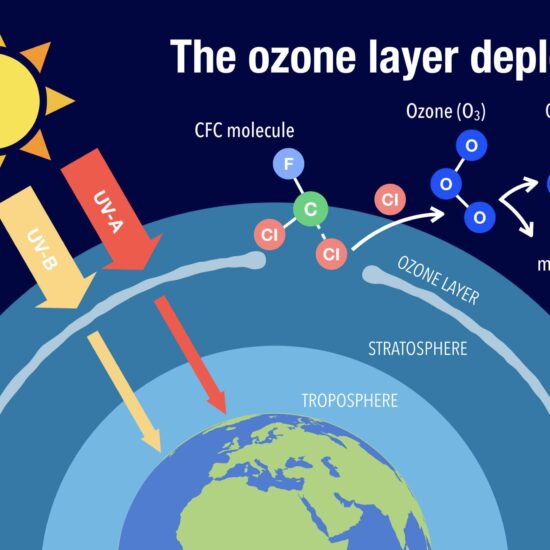 ozen layer depletion