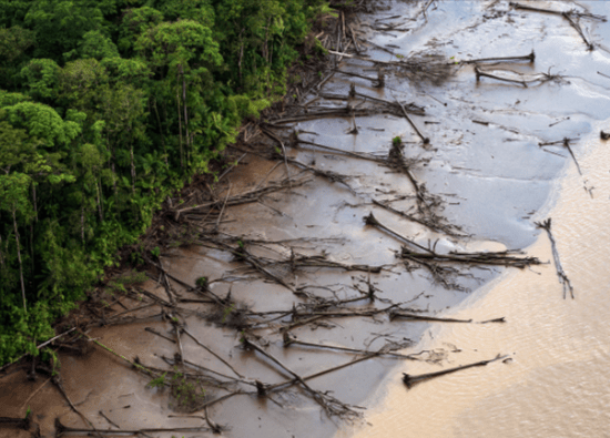 deforestation impact