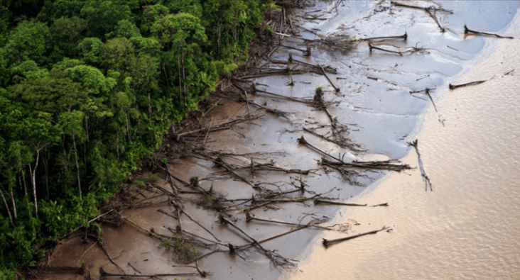 deforestation impact