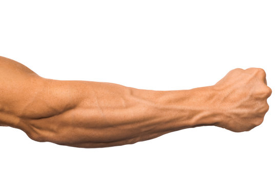 forearms workout